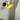 QXWD Cartoon Sconce Children's Room from QXWD