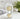BANKE Large Capacity Transparent Glass Ice Coffee Cup from BANKE