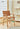 LAZYSPACE Lily Retro Saddle Chair from LAZYSPACE