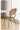 LOWERLEFT Shell Dining Chair from Lower Left