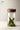 JOTO Eleven Color Glass Storage Tank Solid Wood Lid from MOSE