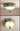 QXWD Antique Ceiling Light Gazebo from QXWD