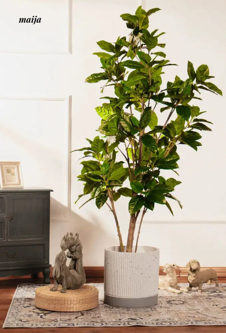 Artificial Rubber Plant from maija