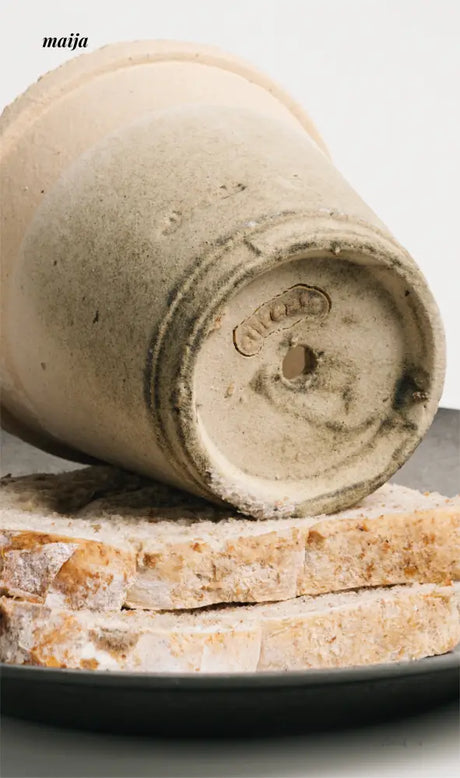 CIIREALS Overnight Toast Ceramic Planter from maija
