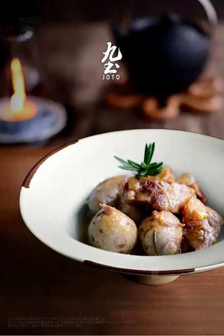 JOTO Japanese Rough Pottery Fruit Plate Sushi Tableware from JOTO