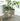Nordic White Villa Flowerpot from maija