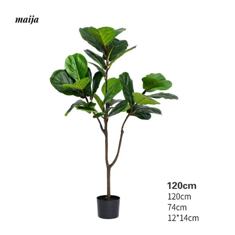 Artificial Fig Plant from Royal Forest