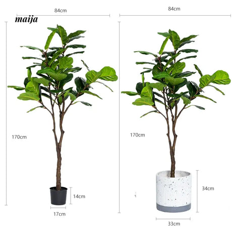 Artificial Fig Plant from Royal Forest