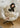 Eggshell Teddy Velvet Chair from maija