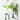 LENYVASEN Aria Wall-Mounted Hydroponic Vase from LENYVASEN