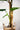 Artificial Monstera Plant from maija