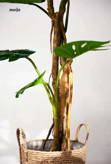 Artificial Monstera Plant from maija