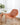 ABOUT WHITE Elowen Minimalist Cozy Plastic Chair from ABOUT WHITE