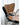 ABOUT WHITE Esmeralda Modern Simple Nordic Dining Chair from ABOUT WHITE