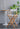 ABOUT WHITE Juniper Stylish Minimalist High Stool from ABOUT WHITE