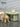 ABOUT WHITE Niamh Minimalist Compact Learning Desk from ABOUT WHITE