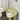 ABOUT WHITE Rosalía Cozy Minimalist Red Chair from ABOUT WHITE