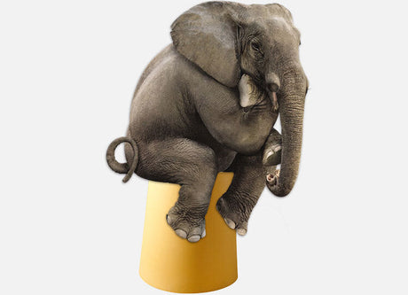 A&D Esmeralda Sturdy Rubber High Bench Stool from A&D