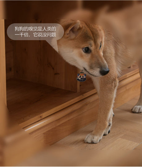 BAIYA SHUNAN Akira Elegant Natural Wood Storage Bookshelf from BAIYA SHUNAN