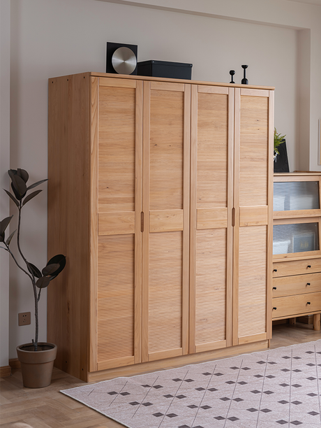 BAIYA SHUNAN Hoshino Elegant Modern Wardrobe from BAIYA SHUNAN