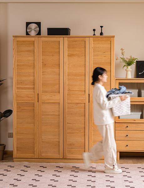 BAIYA SHUNAN Hoshino Elegant Modern Wardrobe from BAIYA SHUNAN