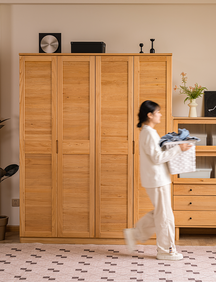 BAIYA SHUNAN Hoshino Elegant Modern Wardrobe from BAIYA SHUNAN