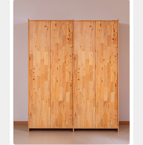 BAIYA SHUNAN Hoshino Elegant Modern Wardrobe from BAIYA SHUNAN