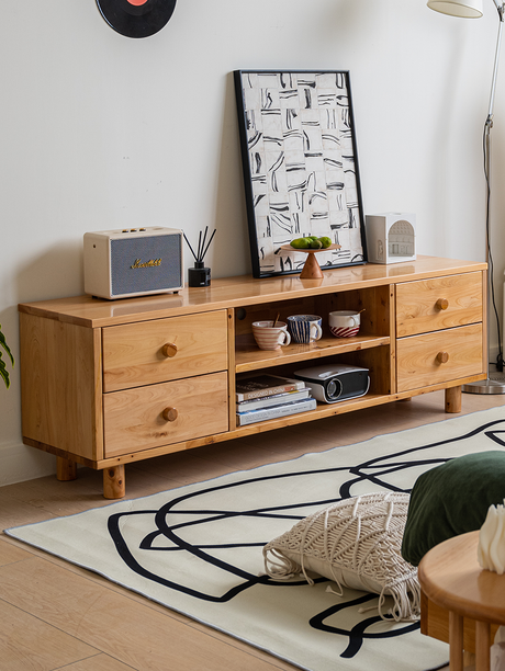 BAIYA SHUNAN Isadora Elegant Minimalist TV Cabinet from BAIYA SHUNAN