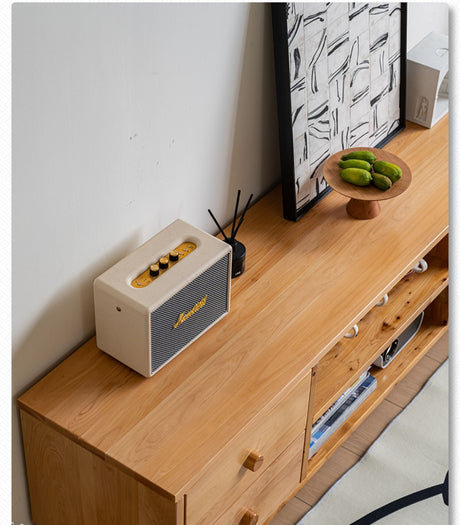 BAIYA SHUNAN Isadora Elegant Minimalist TV Cabinet from BAIYA SHUNAN