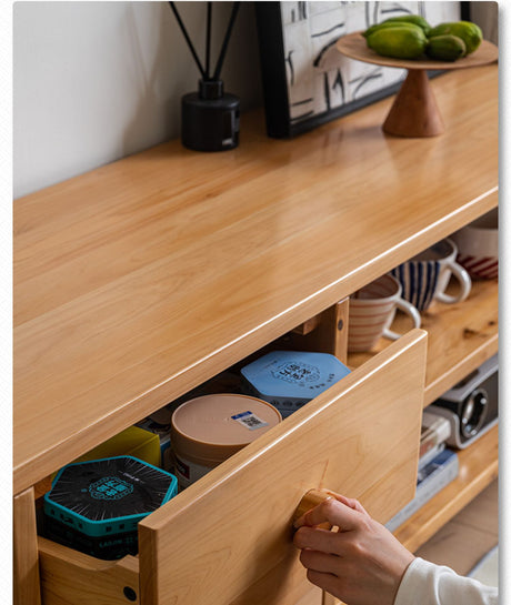 BAIYA SHUNAN Isadora Elegant Minimalist TV Cabinet from BAIYA SHUNAN