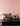 BEN HANMEI Aeliana Stylish Contemporary Furniture Collection from BEN HANMEI