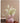 BEN HANMEI Chiyoko Glossy Advanced Hydrolated Luxury Decor Light from BEN HANMEI
