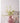 BEN HANMEI Chiyoko Glossy Advanced Hydrolated Luxury Decor Light from BEN HANMEI
