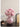 BEN HANMEI Chiyoko Glossy Advanced Hydrolated Luxury Decor Light from BEN HANMEI