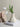 BEN HANMEI Elowen Elegant Ceramic Vase - Nordic Artistic Decoration from BEN HANMEI