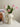 BEN HANMEI Elowen Elegant Ceramic Vase - Nordic Artistic Decoration from BEN HANMEI