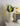BEN HANMEI Elowen Elegant Ceramic Vase - Nordic Artistic Decoration from BEN HANMEI