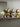 BEN HANMEI Elowen Whimsical Light Luxury Doll Decoration from BEN HANMEI