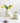 BEN HANMEI Kintaro Elegant Ceramic Vases for Living Room Decor. from BEN HANMEI