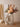 BEN HANMEI Lysandra Light Luxury Decorative Jewelry for Living Room from BEN HANMEI
