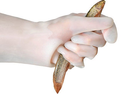 BOER Kaori Premium Waterproof Kitchen Gloves from BOER