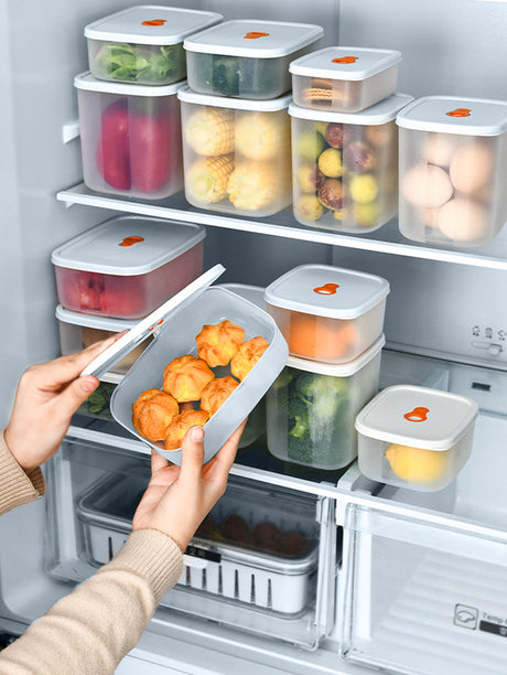 BOER Sapporo Food-Grade Sealing Storage Box from BOER
