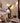 BOJI Elysia Chic Modern Scandinavian Ceiling Lamp from BOJI