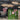 BOJI Harukaze Artistic Woven Ceiling Lamp from BOJI