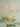 BOJI Harukaze Elegant Decorative Ceiling Lamp from BOJI