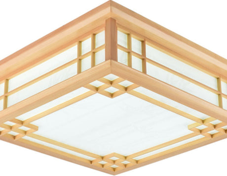 BOJI Harukaze Elegant LED Ceiling Lamp for Living Room from BOJI