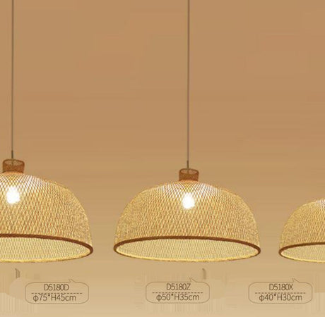 BOJI Isadora Elegant Woven Ceiling Lamp - Chinese Style from BOJI