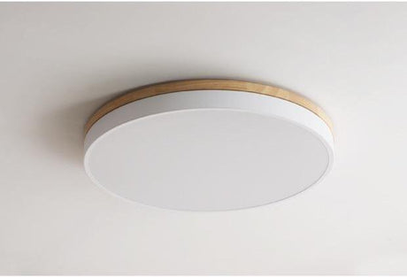BOJI Kenji Modern Minimalistic LED Ceiling Light from BOJI