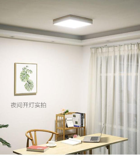 BOJI Kenji Modern Minimalistic LED Ceiling Light from BOJI