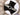 BOJI Octavia Elegant Chinese Hand-Painted Ceiling Lamp from BOJI